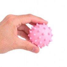bola para cachorro